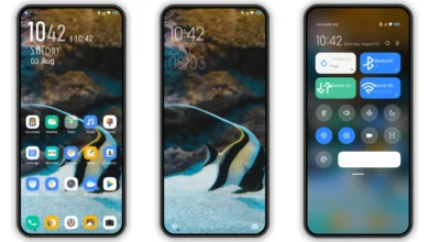 ZEBRAFISH_V15 HyperOS and MIUI Theme