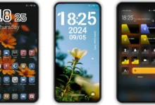 Orange flowers v15 HyperOS Theme