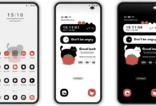 Tomato cat cat MIUI Theme