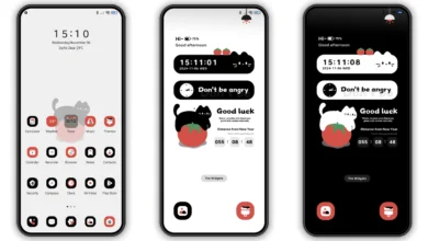 Tomato cat cat MIUI Theme