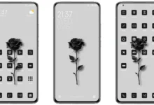 black rose HyperOS Theme